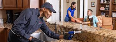 Best Commercial Pest Control  in Homewood, IL