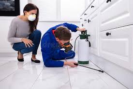 Best Bed Bug Extermination  in Homewood, IL